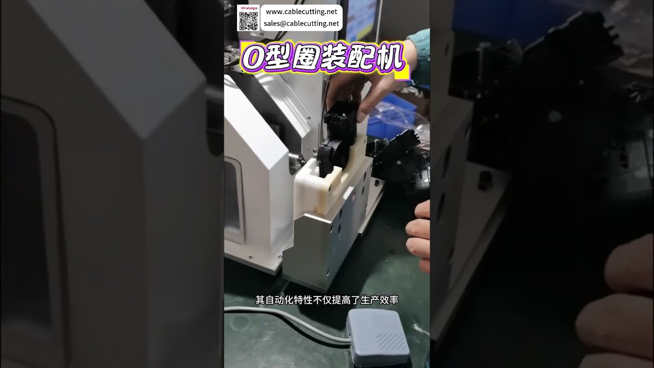 Thiết Bị Lắp Ráp Tự Động Công Nghệ Cao - Hệ Thống Sản Xuất Công Nghiệp Chính Xác