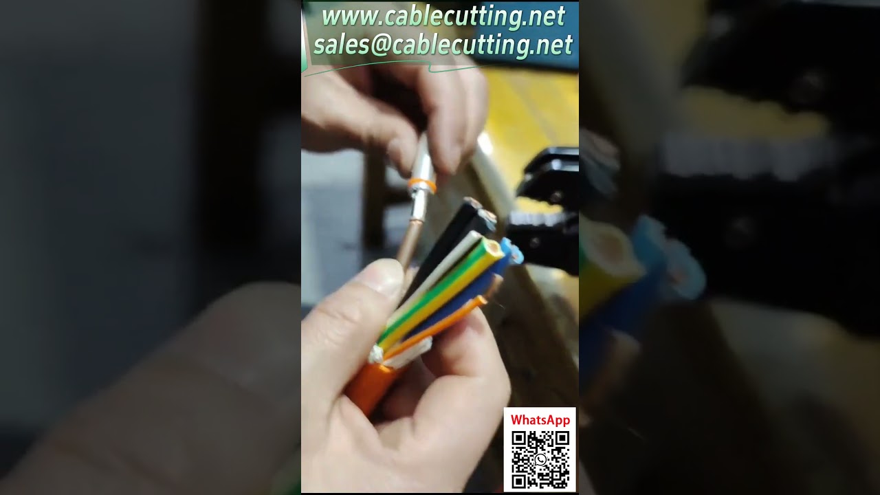 Máy Ép Khí Nén - Giải Pháp Ép Đầu Nối Năng Lượng Mới | Kiểm Tra Ép Lục Giác #TựĐộngHóa