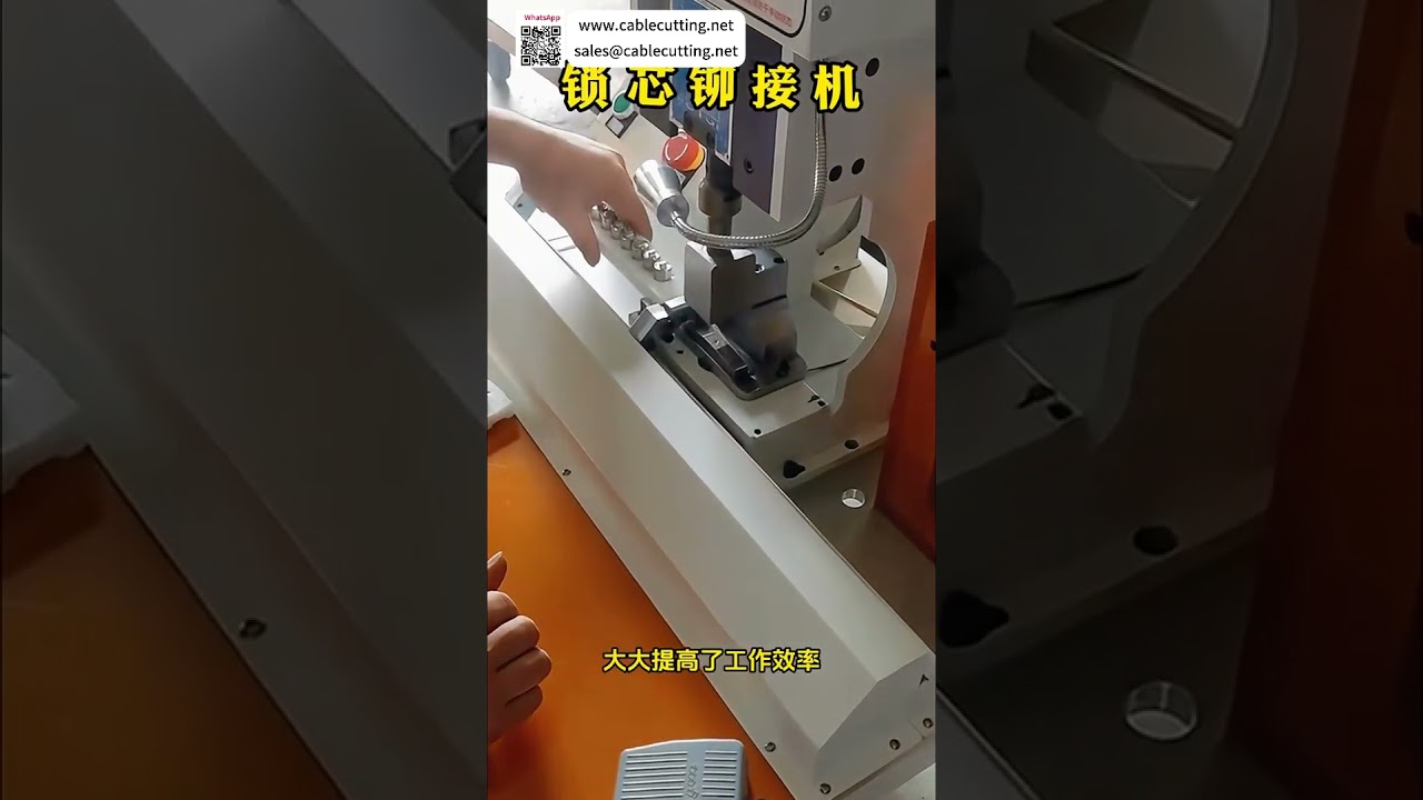 Nhà cung cấp thiết bị lắp ráp vòng đệm chuyên nghiệp - Máy móc công nghiệp tự động chất lượng cao