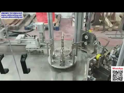 Máy Buộc Băng Cá Tự Động Cho Khách Hàng Israel - Đang Vận Hành Sản Xuất