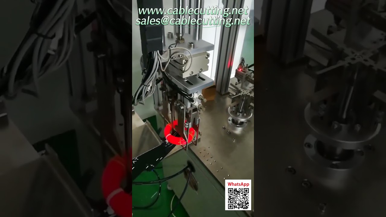 Máy Quấn và Đai Tự Động Cho Dây Cắt Thẻ Treo - Giải Pháp Đóng Gói Thông Minh