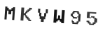 Verification Code Image